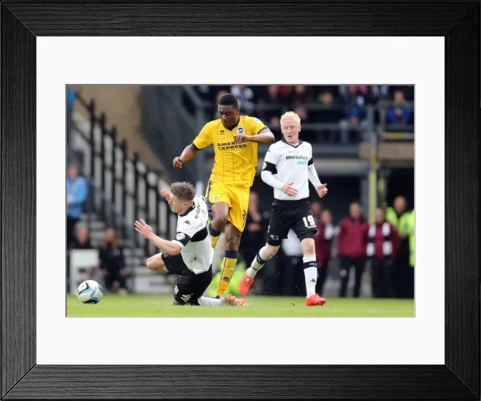 Framed Print : Brighton & Hove Albion vs. Derby County: 2013-14 Season Away Game (11 May 2014) Framed Print : Brighton & Hove Albion vs. Derby County: 2013-14 Season Away Game (11 May 2014)