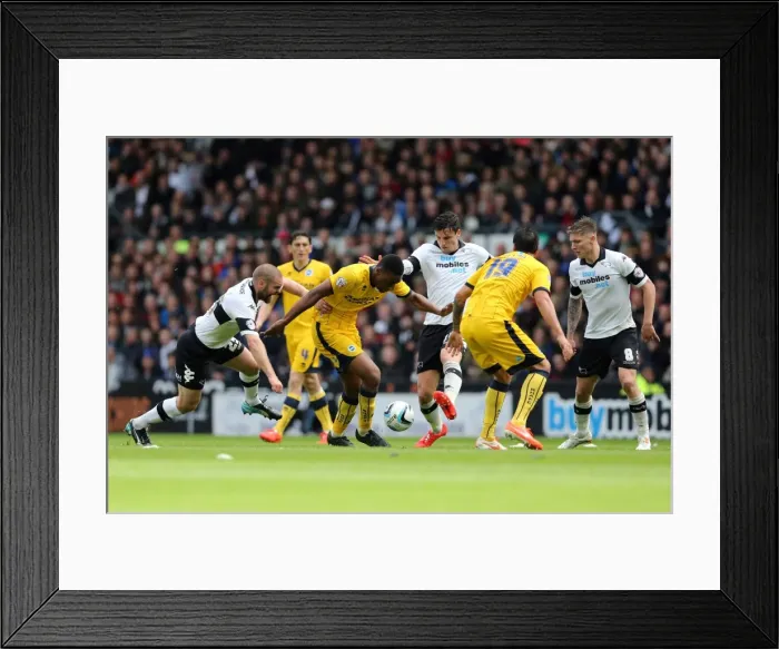 Framed Print : Brighton & Hove Albion vs. Derby County: 2013-14 Season Away Game (11 May 2014)