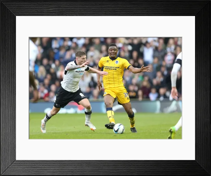 Framed Print : Brighton & Hove Albion vs. Derby County: 2013-14 Away Game (11 May 2014)