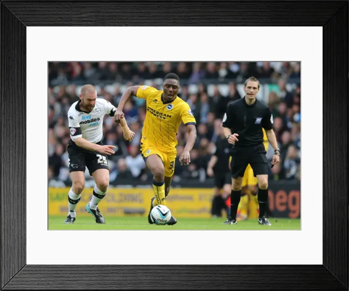 Framed Print : Brighton & Hove Albion vs. Derby County: 2013-14 Season Away Game (11 May 2014) Framed Print : Brighton & Hove Albion vs. Derby County: 2013-14 Season Away Game (11 May 2014)