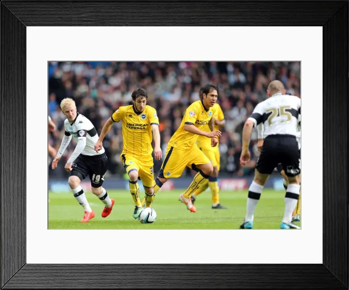 Framed Print : Brighton & Hove Albion vs. Derby County: 2013-14 Away Game (11 May 2014)
