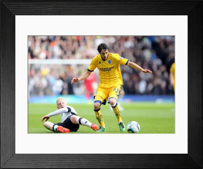 Framed Print : Brighton & Hove Albion vs. Derby County: 2013-14 Away Game (11 May 2014) Framed Print : Brighton & Hove Albion vs. Derby County: 2013-14 Away Game (11 May 2014)