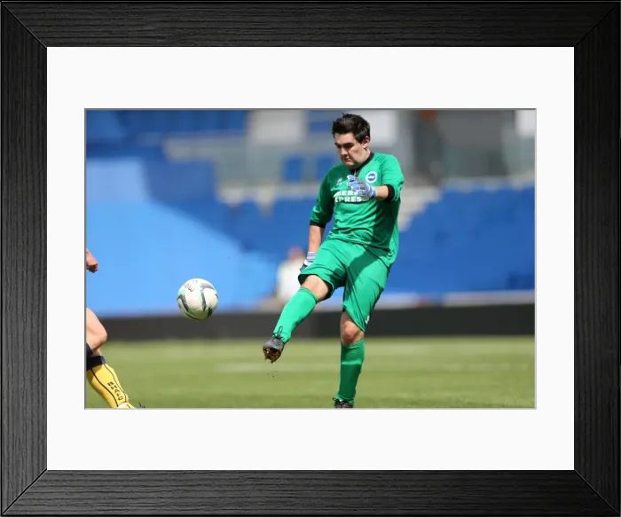 Framed Print : Brighton & Hove Albion's Opening Game of the Season: May 19, 2014 Framed Print : Brighton & Hove Albion's Opening Game of the Season: May 19, 2014