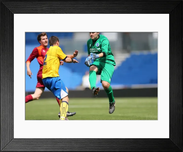 Framed Print : Brighton and Hove Albion's Opening Match: May 19, 2014 Framed Print : Brighton and Hove Albion's Opening Match: May 19, 2014