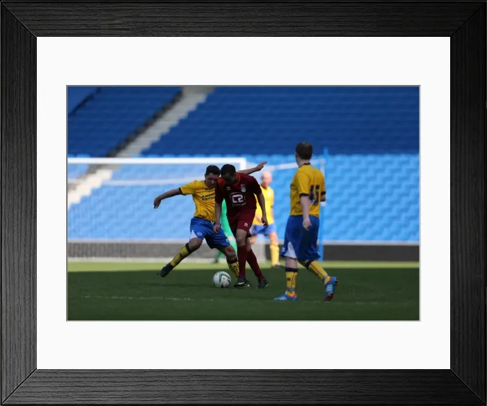 Framed Print : Brighton and Hove Albion's Opening Game of the Season: May 19, 2014 Framed Print : Brighton and Hove Albion's Opening Game of the Season: May 19, 2014
