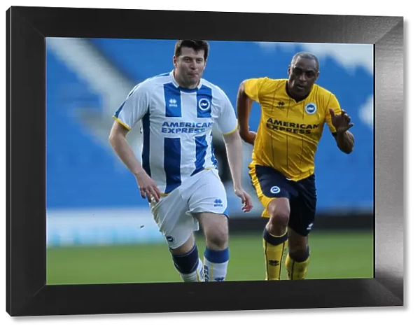 Brighton and Hove Albion in Action: Game 2, May 19, 2014