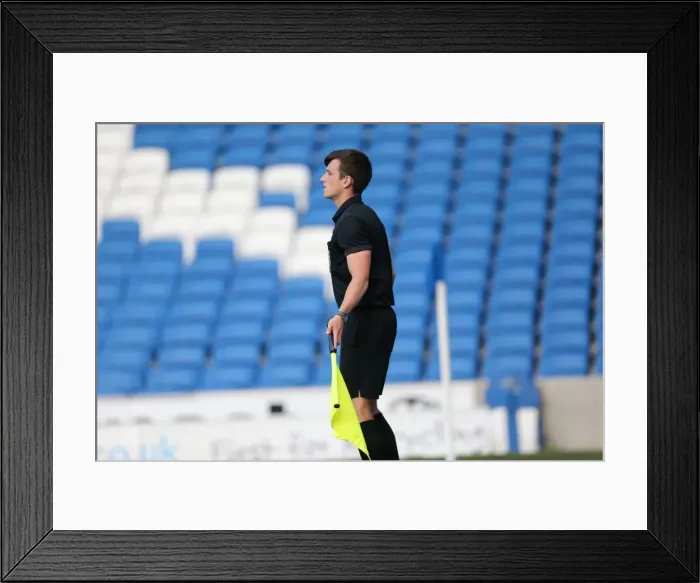 Framed Print : Brighton & Hove Albion in Action: Game 2 - May 19, 2014 Framed Print : Brighton & Hove Albion in Action: Game 2 - May 19, 2014