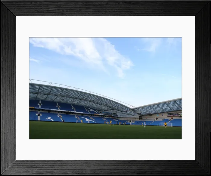 Framed Print : Brighton & Hove Albion in Action: Game 2 (May 14, 2019) Framed Print : Brighton & Hove Albion in Action: Game 2 (May 14, 2019)