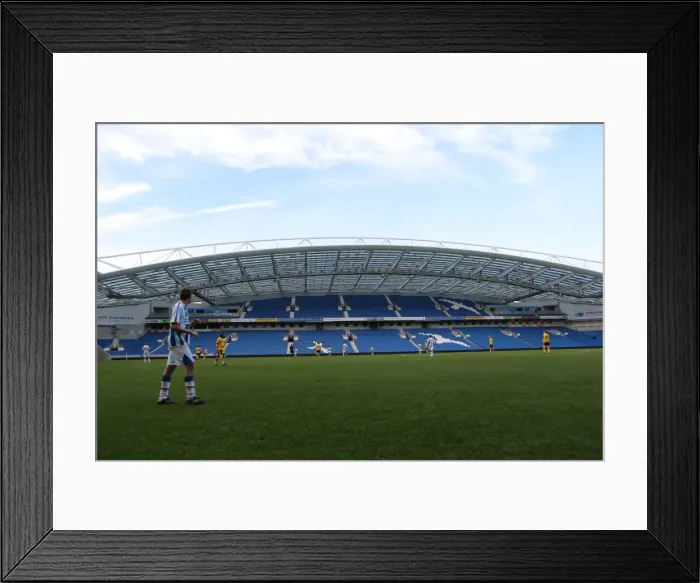 Framed Print : Brighton & Hove Albion in Action: Game 2, May 19, 2014 Framed Print : Brighton & Hove Albion in Action: Game 2, May 19, 2014