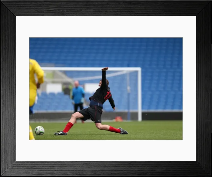 Framed Print : Brighton & Hove Albion in Action: Game 3 - May 2014 Framed Print : Brighton & Hove Albion in Action: Game 3 - May 2014