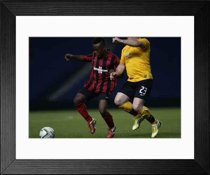 Framed Print : Brighton & Hove Albion: Game 4 - The Pitch Battle (May 2014) Framed Print : Brighton & Hove Albion: Game 4 - The Pitch Battle (May 2014)