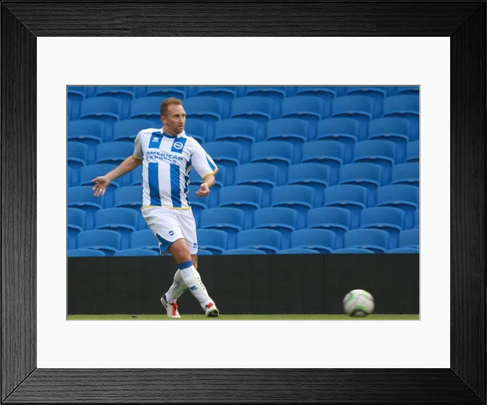 Framed Print : Brighton & Hove Albion in Action: Game 5 - May 21, 2014 Framed Print : Brighton & Hove Albion in Action: Game 5 - May 21, 2014