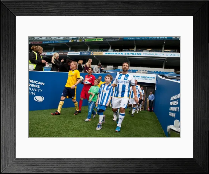 Framed Print : Brighton & Hove Albion in Action: Game 5 - May 21, 2014 Framed Print : Brighton & Hove Albion in Action: Game 5 - May 21, 2014