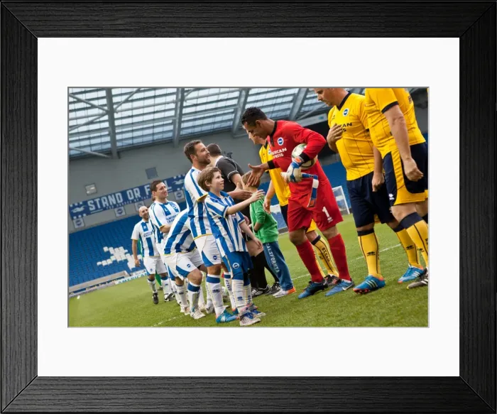 Framed Print : Brighton & Hove Albion: Game 5 - The Thrilling Pitch Battle (21st May 2014) Framed Print : Brighton & Hove Albion: Game 5 - The Thrilling Pitch Battle (21st May 2014)