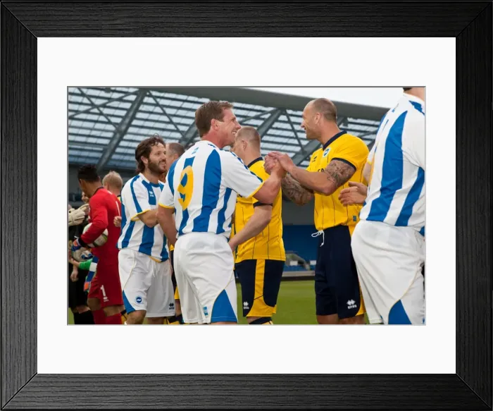 Framed Print : Brighton & Hove Albion in Action: Game 5, May 21, 2014 Framed Print : Brighton & Hove Albion in Action: Game 5, May 21, 2014