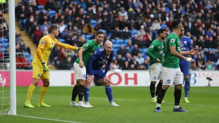 Framed Print : 10NOV18: Premier League Battle - Cardiff City vs. Brighton and Hove Albion at Cardiff City Stadium Framed Print : 10NOV18: Premier League Battle - Cardiff City vs. Brighton and Hove Albion at Cardiff City Stadium