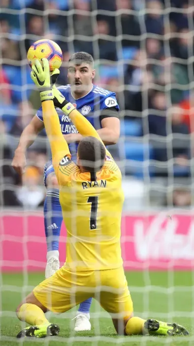 Framed Print : 10NOV18: Premier League Battle - Cardiff City vs. Brighton and Hove Albion at Cardiff City Stadium Framed Print : 10NOV18: Premier League Battle - Cardiff City vs. Brighton and Hove Albion at Cardiff City Stadium