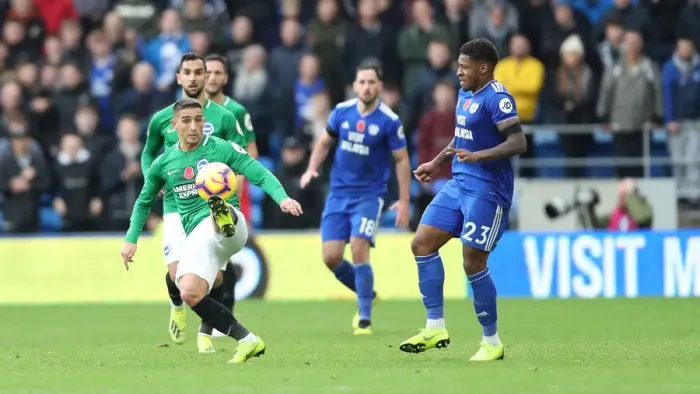 Framed Print : 10NOV18: Premier League Battle - Cardiff City vs. Brighton and Hove Albion at Cardiff City Stadium Framed Print : 10NOV18: Premier League Battle - Cardiff City vs. Brighton and Hove Albion at Cardiff City Stadium