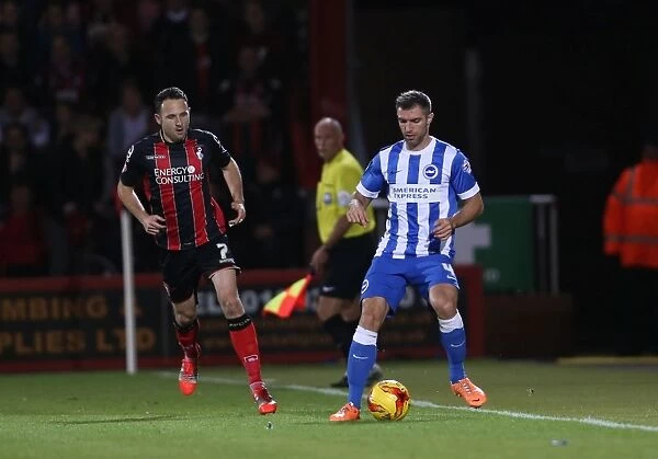 Aaron Hughes of Brighton and Hove Albion at American Express Community Stadium during SkyBet Championship Match vs Bournemouth (November 2014)