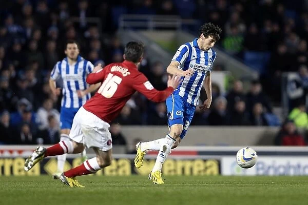 Action-Packed Performance: Will Buckley Shines in Brighton & Hove Albion vs Charlton Athletic (April 2013)