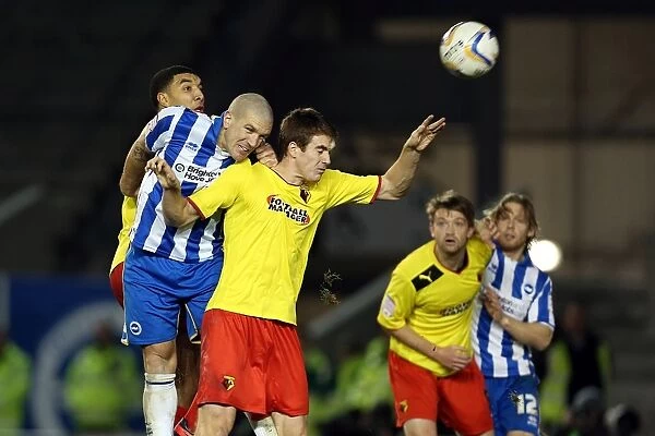Adam El-Abd Goes for Glory: Brighton & Hove Albion vs. Watford, December 29, 2012