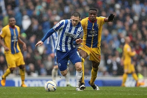 Andrew Crofts in action during Brighton & Hove Albion v Crystal Palace, nPower Championship, Amex Stadium, Brighton