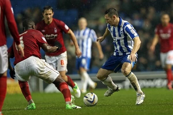 Andrew Crofts in Action: Brighton & Hove Albion vs. Nottingham Forest, Amex Stadium, December 15, 2012