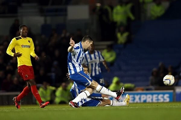 Andrew Crofts in Action: Brighton & Hove Albion vs. Watford, Npower Championship, Amex Stadium (December 29, 2012)