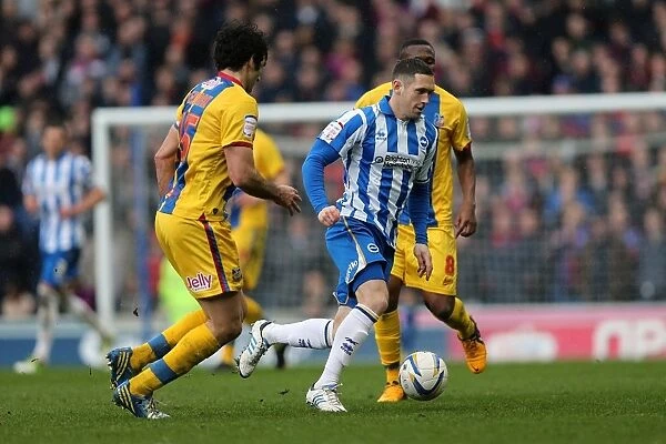 Andrew Crofts in Action: Brighton & Hove Albion vs. Crystal Palace, March 17, 2013