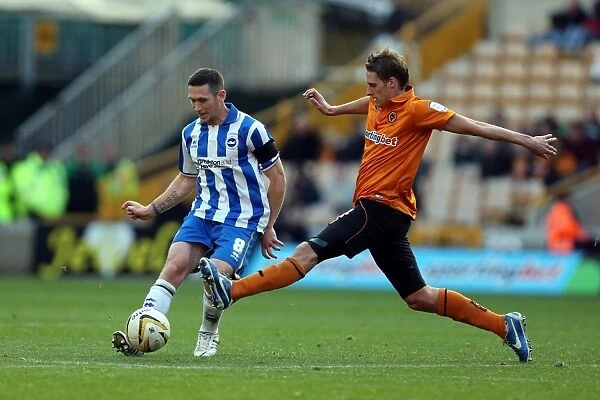 Andrew Crofts Releases Ball Amidst Pressure: Wolves vs. Brighton & Hove Albion, 10th November 2012