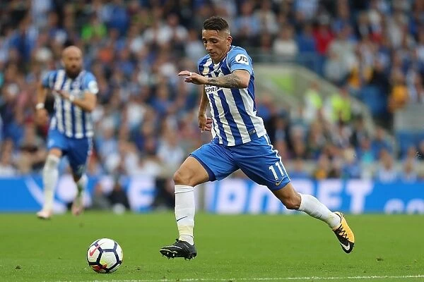Anthony Knockaert in Action: Brighton and Hove Albion vs Newcastle United, Premier League (September 2017)