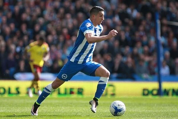 Anthony Knockaert's Thrilling Performance: Brighton and Hove Albion vs. Burnley, Sky Bet Championship (April 2016)