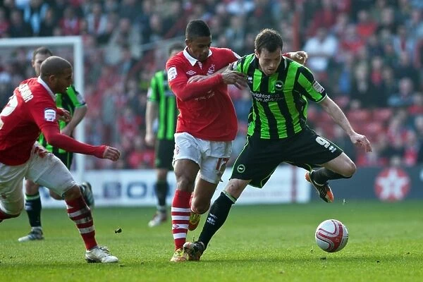 Ashley Barnes in Action: Brighton & Hove Albion vs. Nottingham Forest, Championship Clash at The City Ground (March 24, 2012)