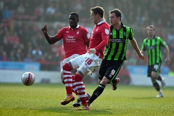 Ashley Barnes of Brighton & Hove Albion in Action against Nottingham Forest, March 24, 2012