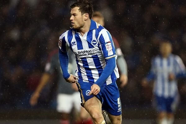 Ashley Barnes of Brighton & Hove Albion in Action against Bolton Wanderers, Npower Championship, November 24, 2012