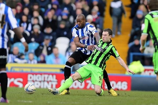 Ashley Barnes Determined Slide Tackle in Sheffield Wednesday vs. Brighton & Hove Albion, 2013