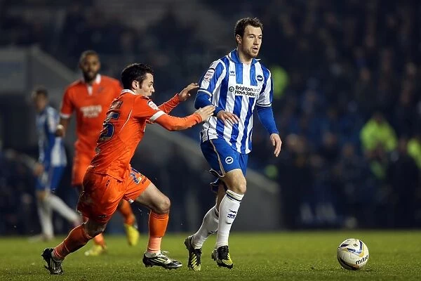 Ashley Barnes Thrives in the Thick of the Action: Brighton & Hove Albion vs Millwall, December 18, 2012