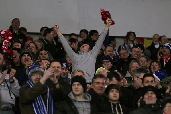 Away Game Recap: Brighton & Hove Albion vs. Cardiff City (19-02-2013) - A Glance at the 2012-13 Season