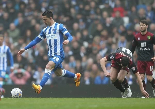 Battle in the Midfield: Beram Kayal's Focused Performance for Brighton Against Norwich City