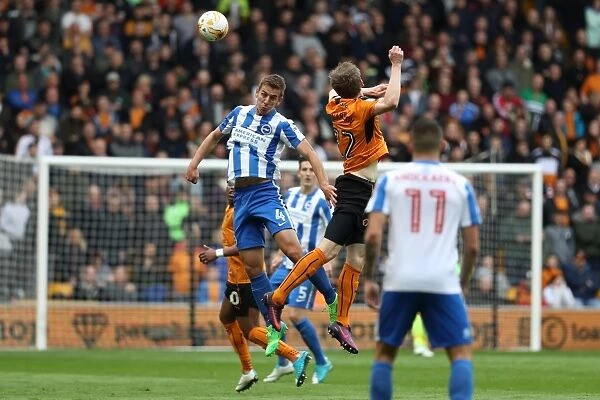 Battleground Molineux: Wolverhampton Wanderers vs. Brighton and Hove Albion in the EFL Sky Bet Championship (14th April 2017)