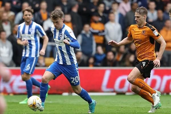 Battling in the Championship: Wolverhampton Wanderers vs. Brighton and Hove Albion (14th April 2017)