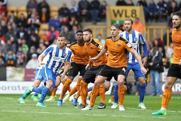 Battling in the Championship: Wolverhampton Wanderers vs. Brighton and Hove Albion (14th April 2017)
