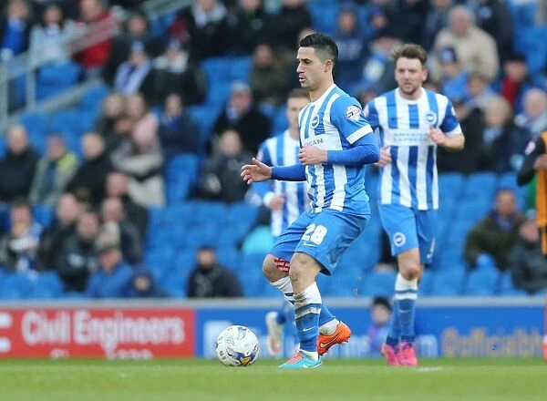 Beram Kayal in Action: Brighton Midfielder Fights for Possession against Wolverhampton Wanderers, Championship Match, American Express Community Stadium (March 14, 2015)