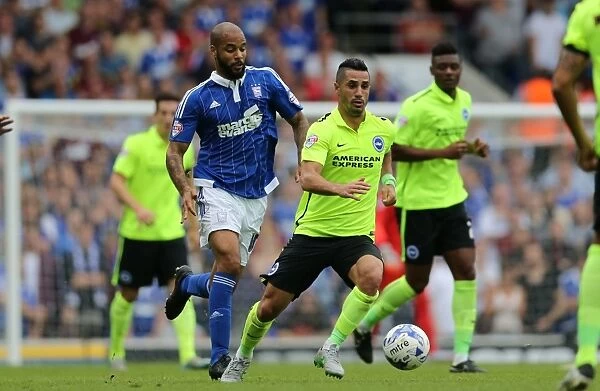 Beram Kayal in Action: Brighton Midfielder Fights for Possession against Ipswich Town, Sky Bet Championship 2015