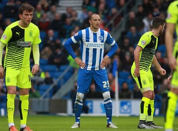 Bobby Zamora in Action: Brighton and Hove Albion vs. Huddersfield Town, Sky Bet Championship 2016