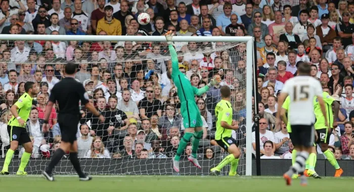Framed Print : Brighton Goalkeeper David Stockdale Saves Fulham Shot in Sky Bet Championship Clash (15 / 08 / 2015)