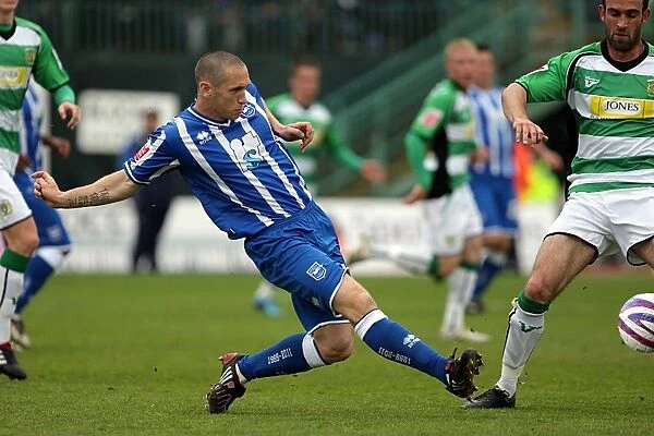 Brighton & Hove Albion: 2009-10 Home Matches vs Yeovil Town