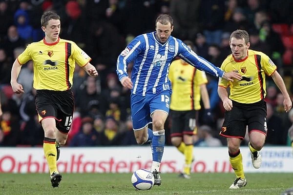Brighton & Hove Albion 2010-11 Away: Watford (FAC)