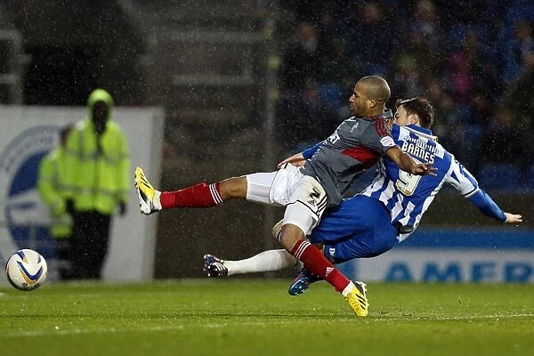 Brighton & Hove Albion: 2012-13 Season - Home Game Against Bolton Wanderers (November 24, 2012)