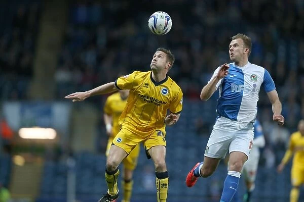 Brighton & Hove Albion 2013-14: Away Game at Blackburn Rovers (01-04-14)